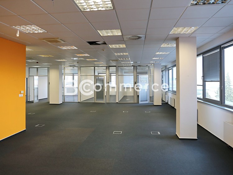 Pronájem kanceláře 300 m² - foto 5