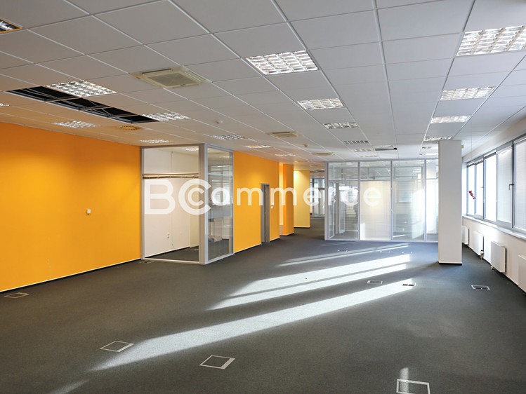 Pronájem kanceláře 300 m² - foto 7