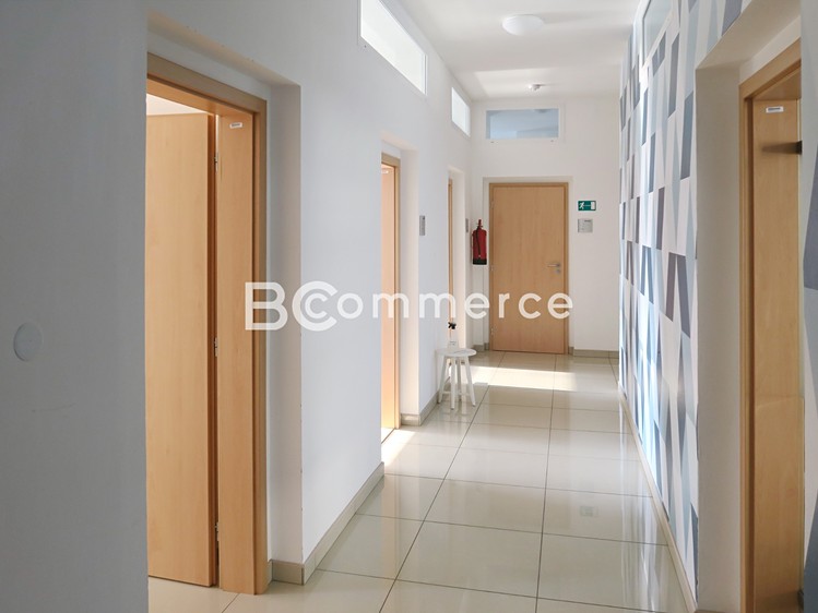 Pronájem kanceláře 66 m² - foto 4