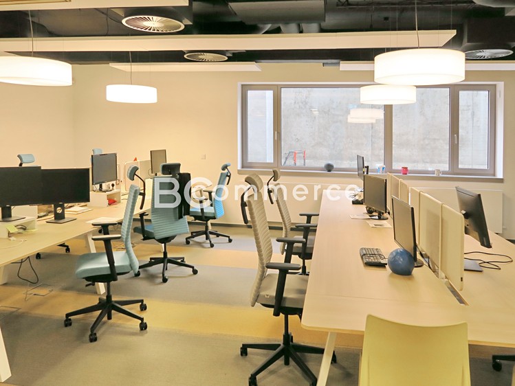 Pronájem kanceláře 332 m² - foto 6