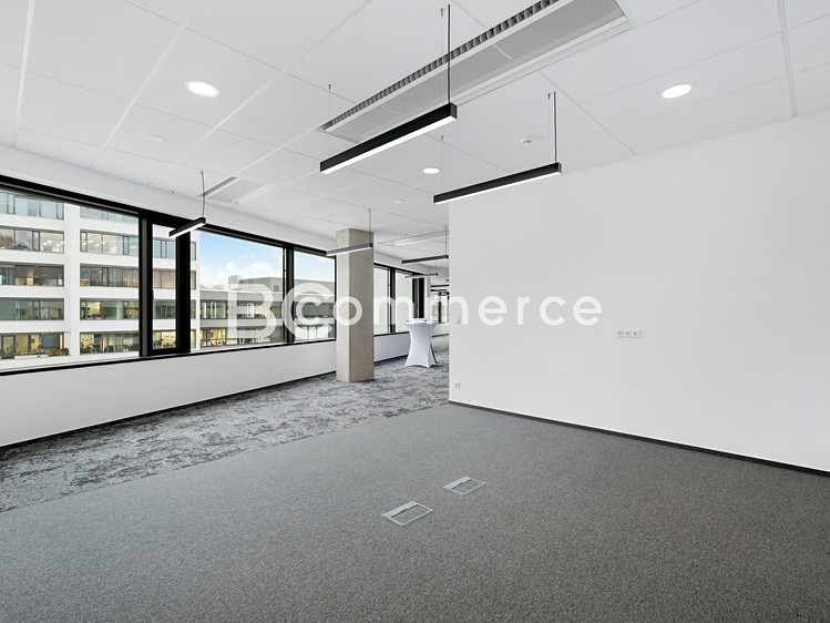 Pronájem kanceláře 235 m² - foto 2