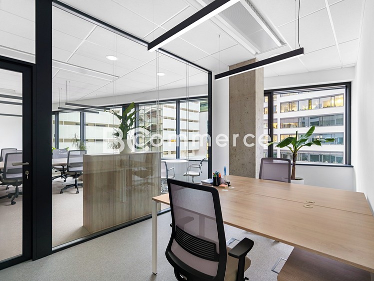 Pronájem kanceláře 235 m² - foto 4
