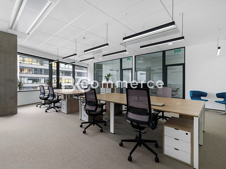 Pronájem kanceláře 235 m² - foto 5