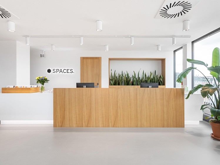 Pronájem kanceláře 75 m² - foto 4