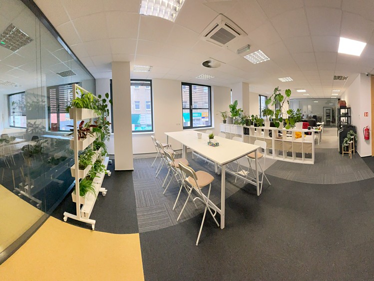 Pronájem kanceláře 346 m² - foto 6