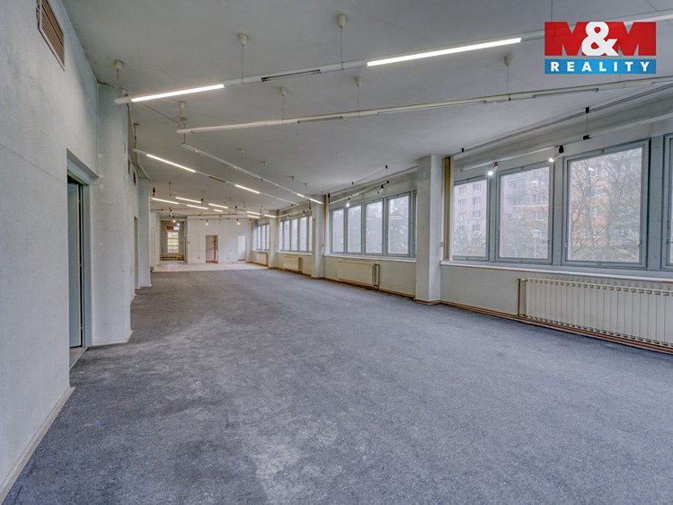 Pronájem obchodního prostoru 641 m² - foto 6