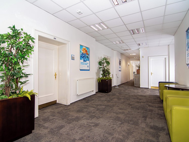 Pronájem kanceláře 43 m² - foto 3