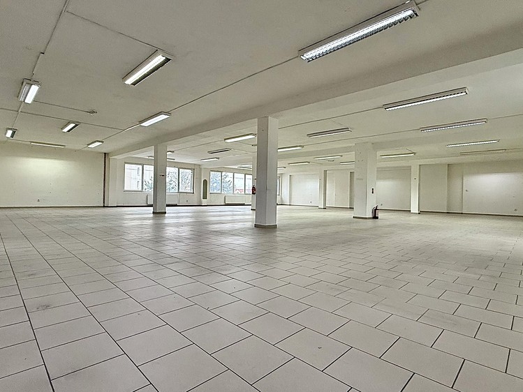 Pronájem obchodního prostoru 1 200 m² - foto 4