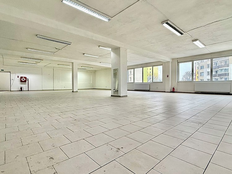 Pronájem obchodního prostoru 1 200 m² - foto 5