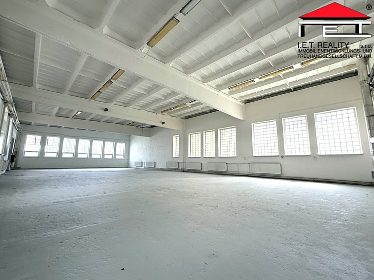 Pronájem obchodního prostoru 565 m² - foto 2