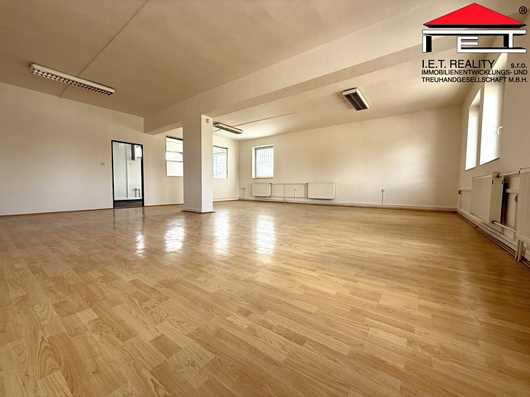 Pronájem obchodního prostoru 565 m² - foto 3