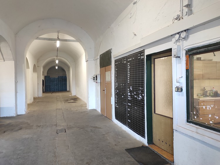 Pronájem komerční nemovitosti 500 m² - foto 3