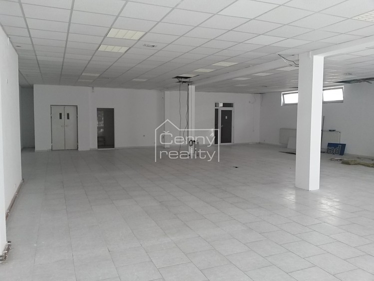 Pronájem obchodního prostoru 350 m² - foto 4