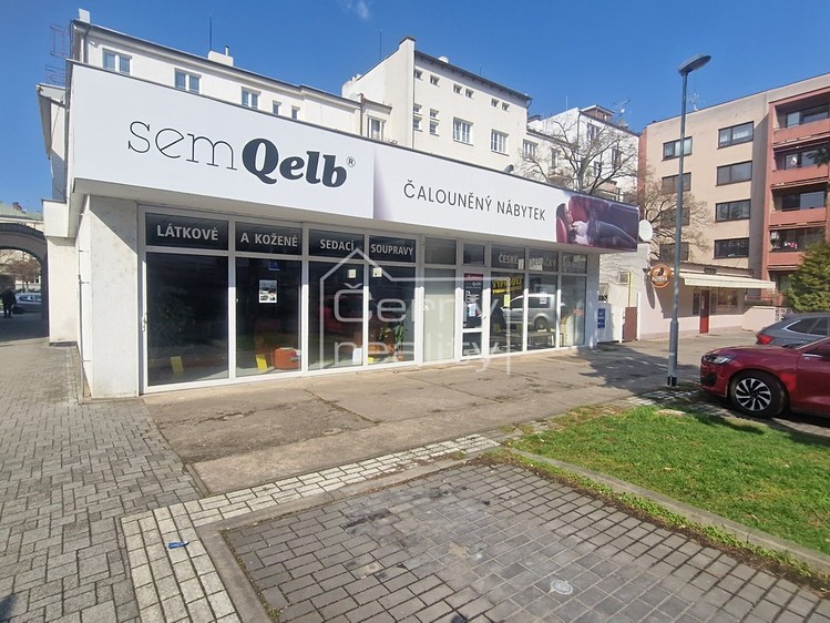 Pronájem obchodního prostoru 350 m² - foto 2