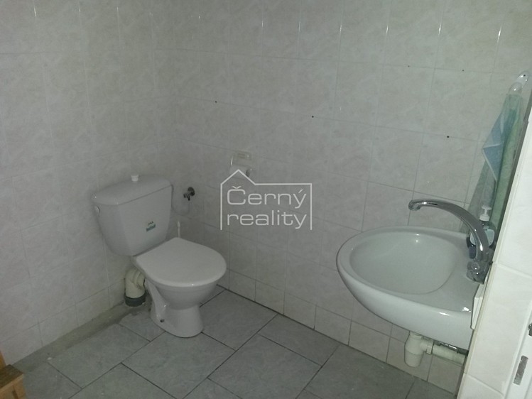 Pronájem obchodního prostoru 350 m² - foto 6