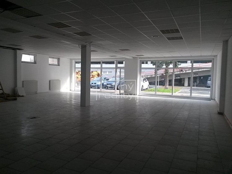 Pronájem obchodního prostoru 350 m² - foto 7