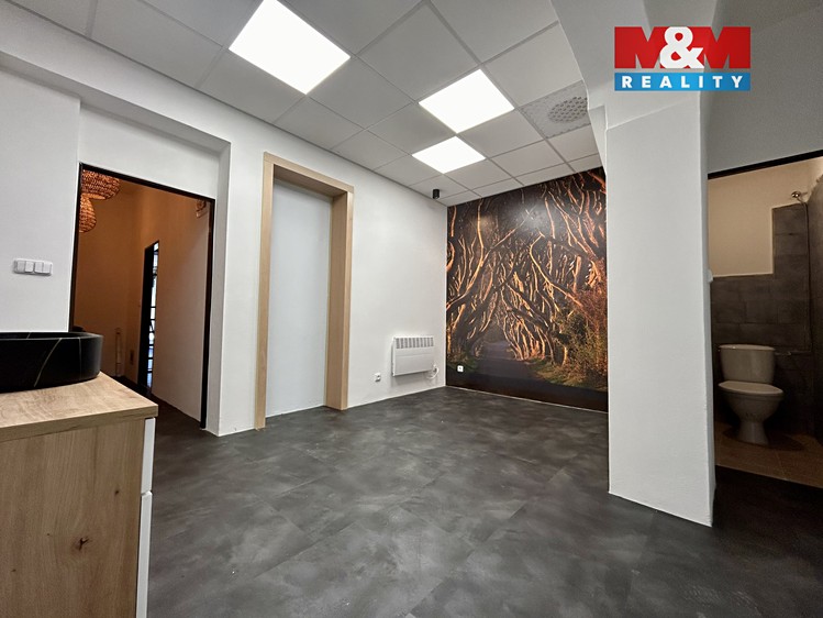 Pronájem obchodního prostoru 23 m² - foto 4