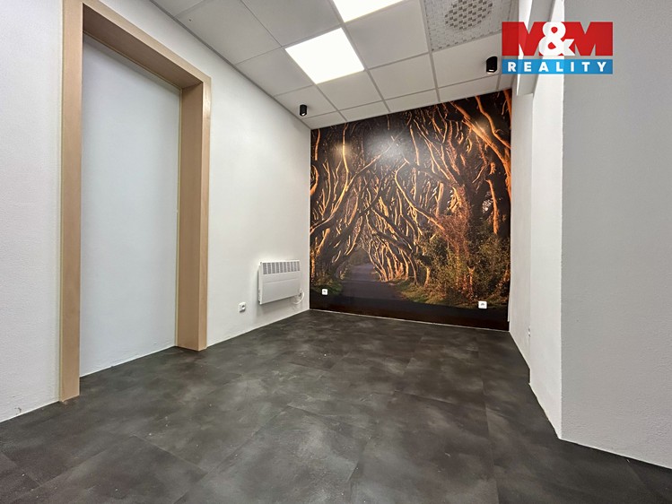 Pronájem obchodního prostoru 23 m² - foto 5