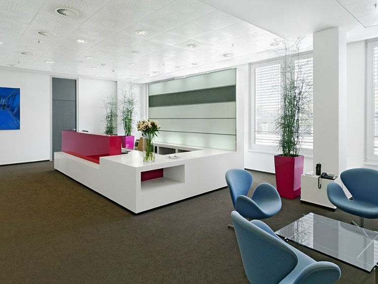 Pronájem kanceláře 650 m² - foto 5