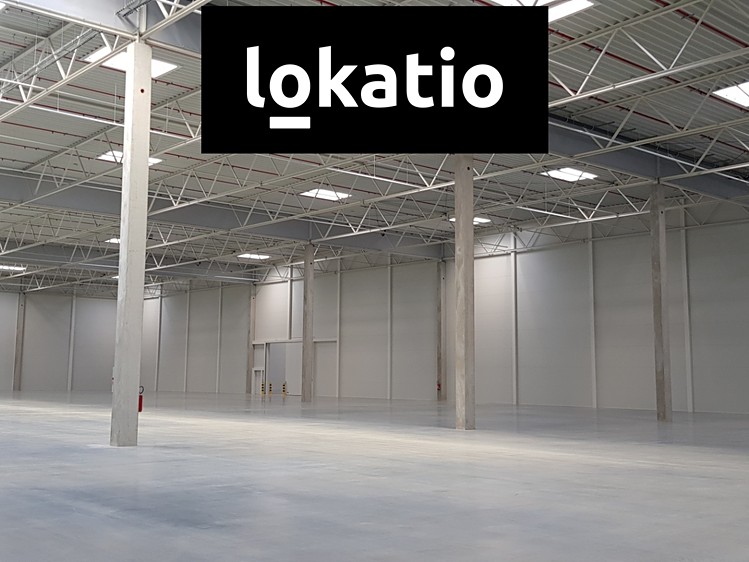 Pronájem skladového prostoru 9 217 m² - foto 4