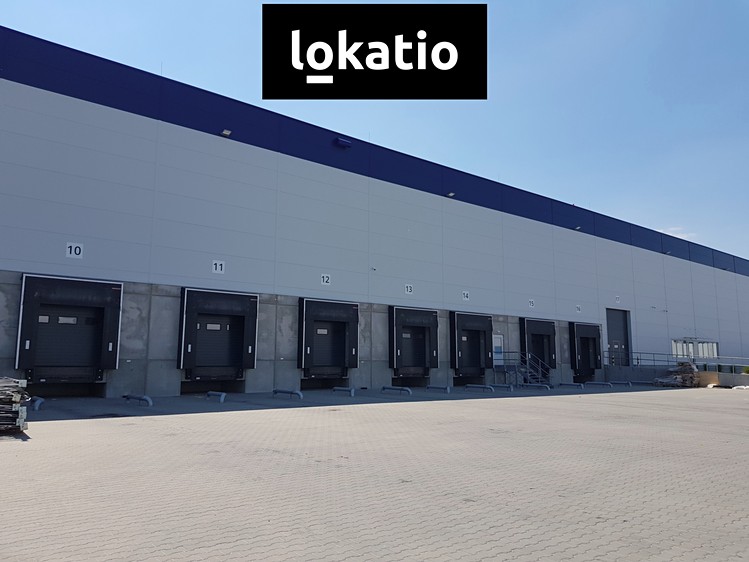 Pronájem skladového prostoru 9 217 m² - foto 6