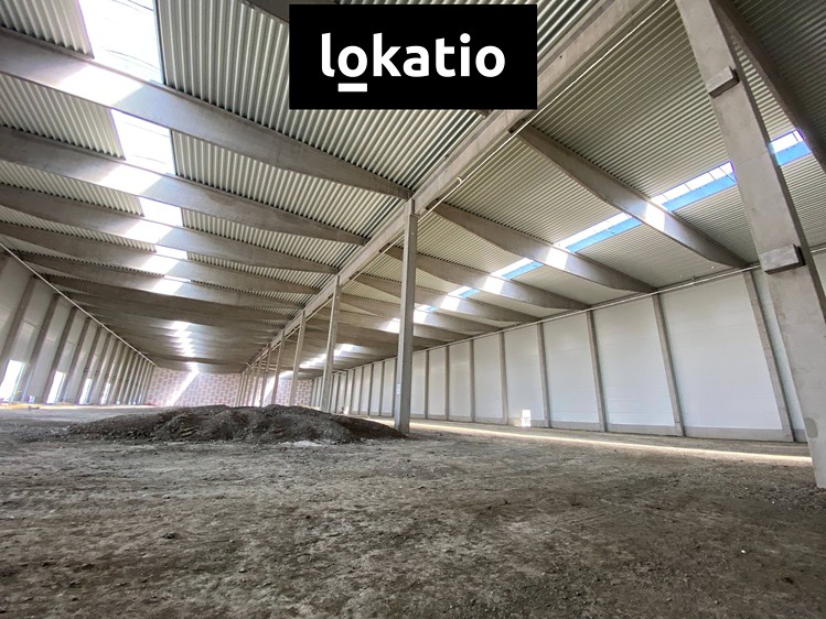Pronájem skladového prostoru 6 800 m² - foto 4