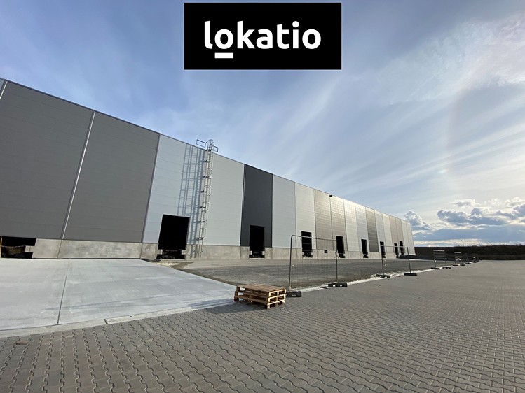 Pronájem skladového prostoru 6 800 m² - foto 5
