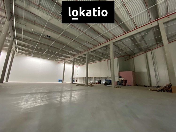 Pronájem skladového prostoru 1 000 m² - foto 8