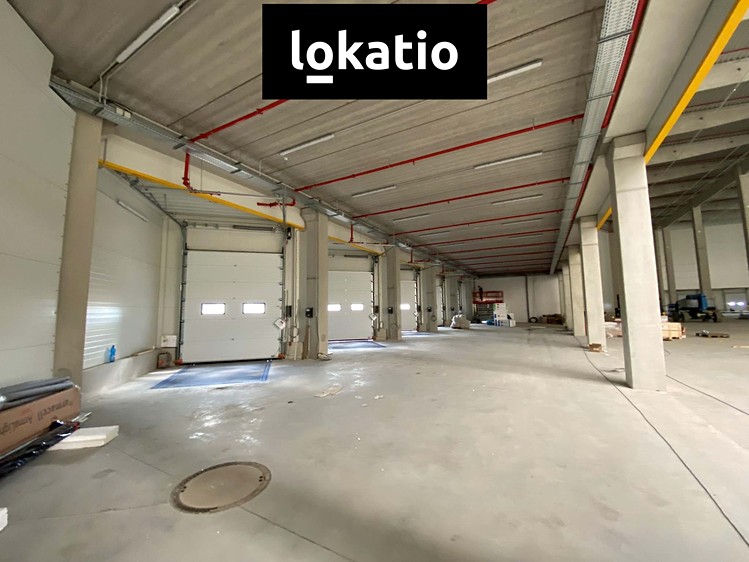 Pronájem skladového prostoru 1 000 m² - foto 6