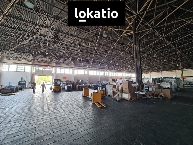 Pronájem skladového prostoru 4 343 m² - foto 4