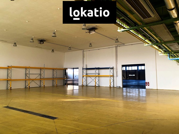 Pronájem skladového prostoru 4 343 m² - foto 7
