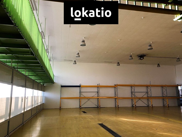 Pronájem skladového prostoru 4 343 m² - foto 6