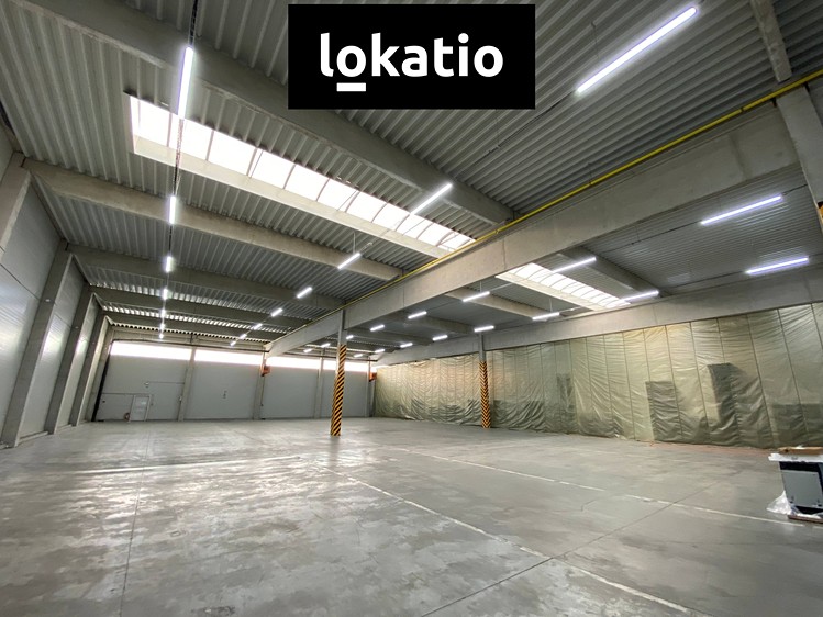 Pronájem skladového prostoru 1 300 m² - foto 4