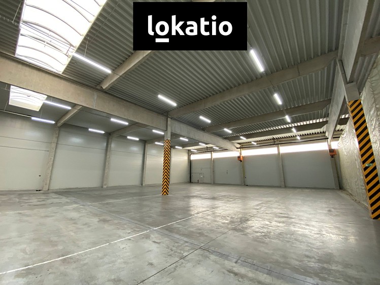 Pronájem skladového prostoru 1 300 m² - foto 7