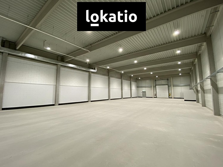Pronájem skladového prostoru 1 037 m² - foto 1