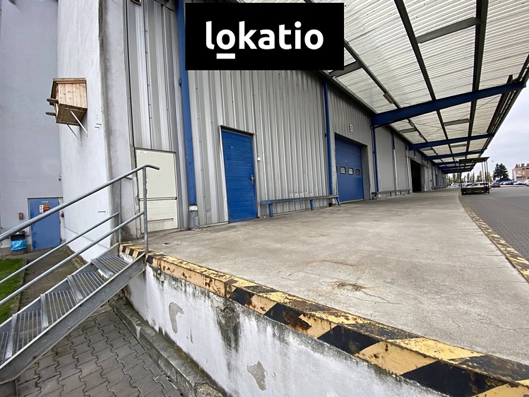 Pronájem skladového prostoru 2 304 m² - foto 4
