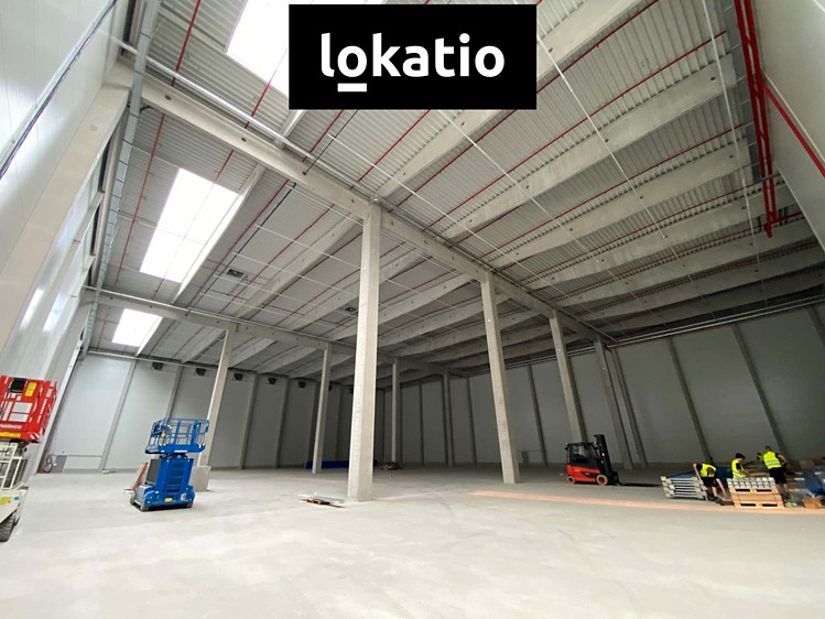 Pronájem skladového prostoru 4 000 m² - foto 3