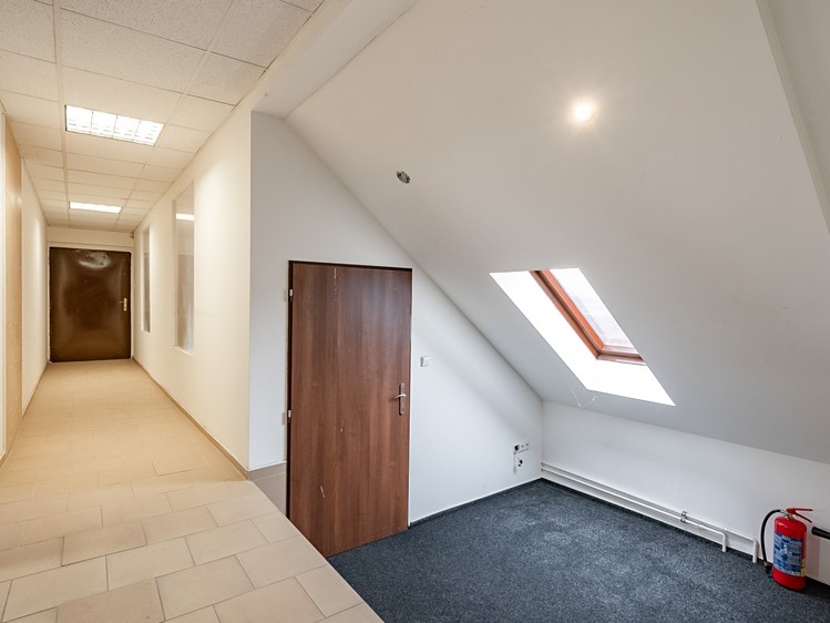 Pronájem kanceláře 243 m² - foto 3