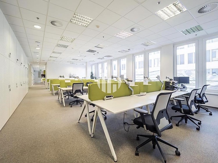 Pronájem kanceláře 653 m² - foto 4