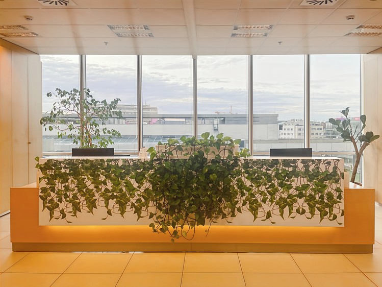 Pronájem kanceláře 30 m² - foto 3