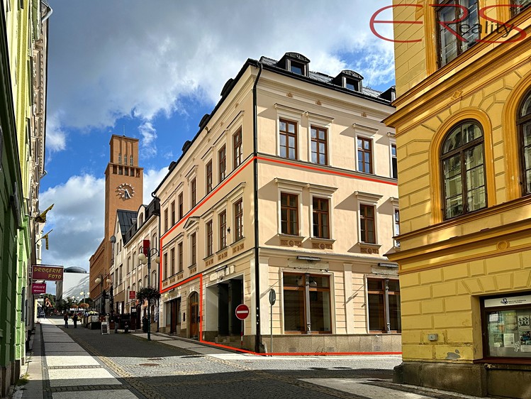 Pronájem obchodního prostoru 342 m² - foto 1