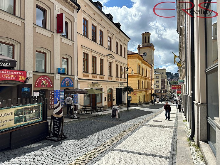 Pronájem obchodního prostoru 342 m² - foto 3
