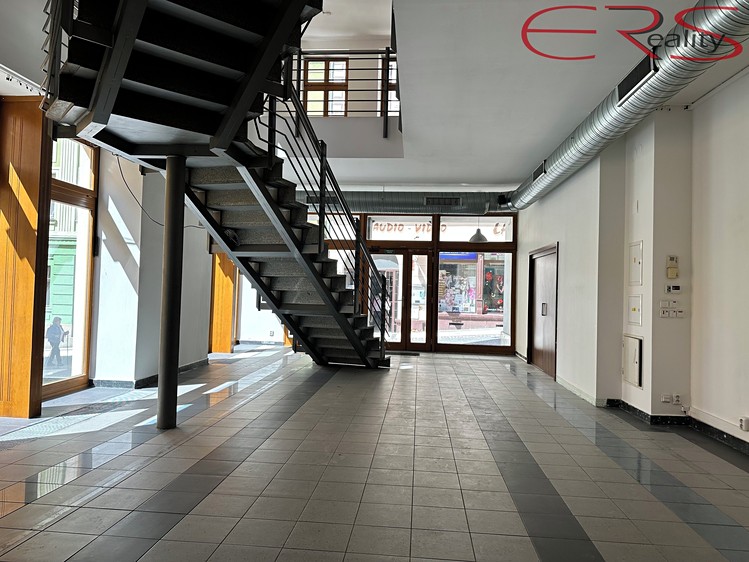 Pronájem obchodního prostoru 342 m² - foto 5