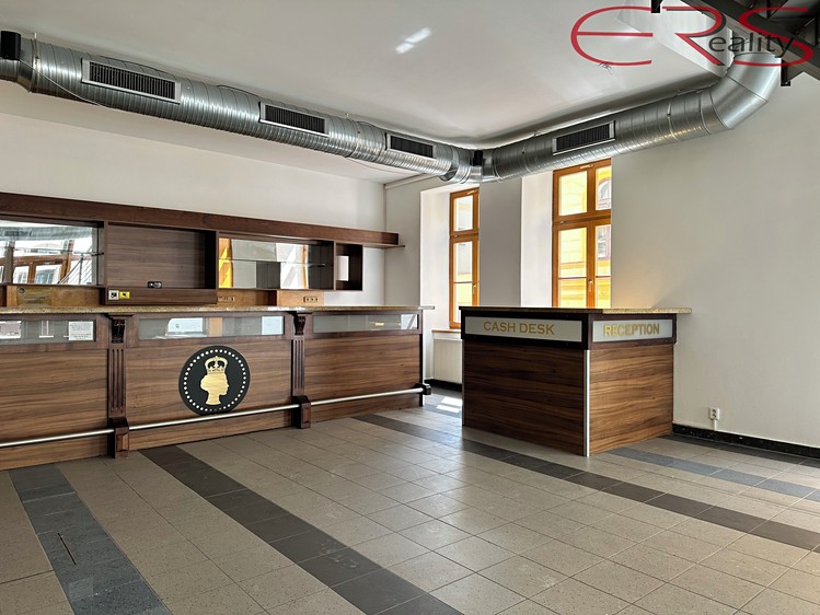 Pronájem obchodního prostoru 342 m² - foto 6