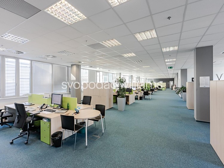 Pronájem kanceláře 898 m² - foto 8