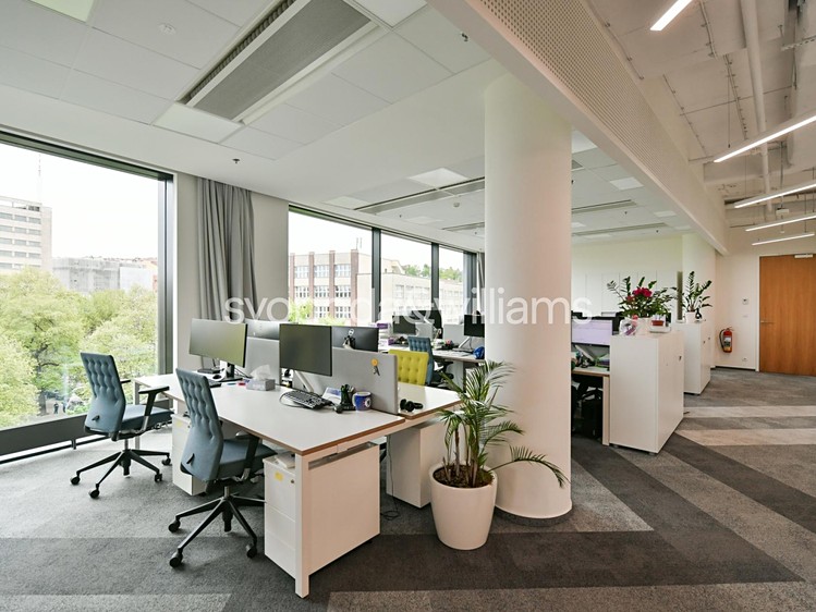 Pronájem kanceláře 662 m² - foto 6