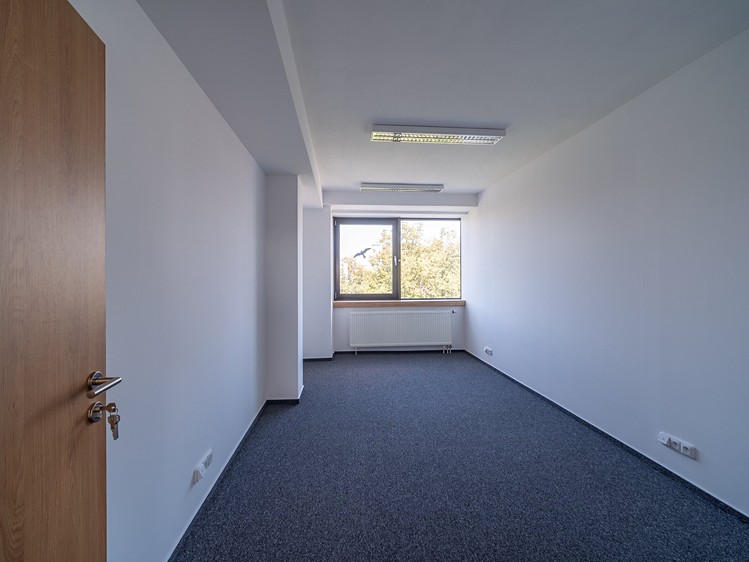 Pronájem kanceláře 300 m² - foto 7
