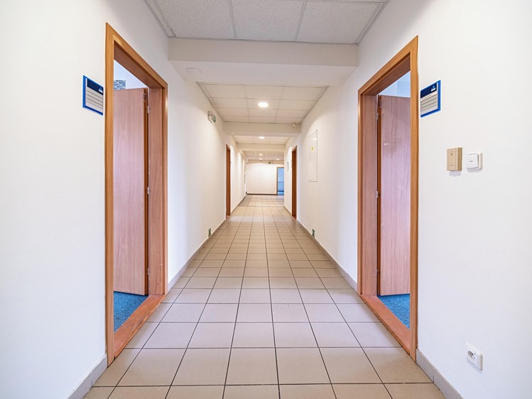 Pronájem kanceláře 250 m² - foto 6