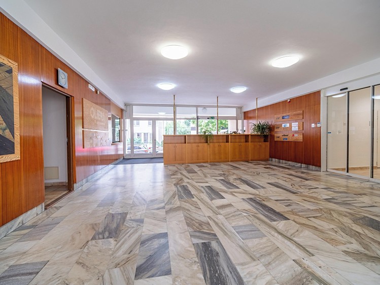 Pronájem kanceláře 250 m² - foto 5