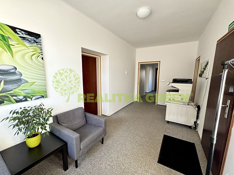 Pronájem komerční nemovitosti 110 m² - foto 6